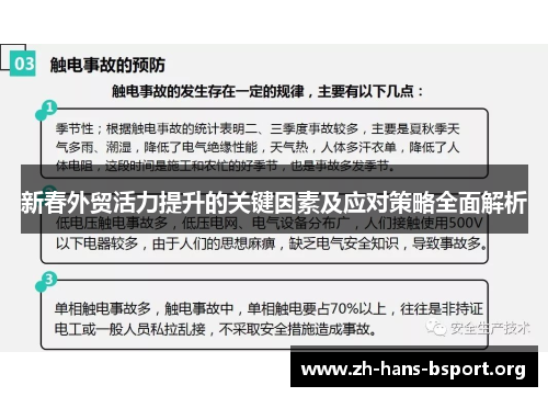 新春外贸活力提升的关键因素及应对策略全面解析