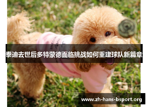 泰迪去世后多特蒙德面临挑战如何重建球队新篇章