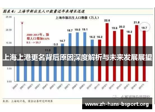 上海上港更名背后原因深度解析与未来发展展望